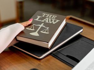 Florida Artificial Turf Law 2025