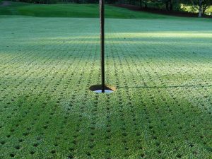 Putting Green Maintenance