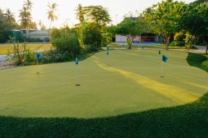 Home Putting Greens
