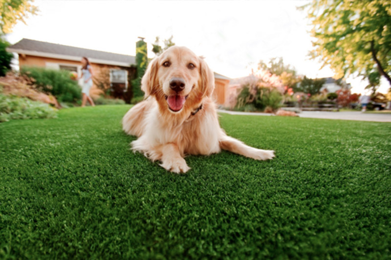 Artificial Turf Installation Yards, Driveways, putting greens & more