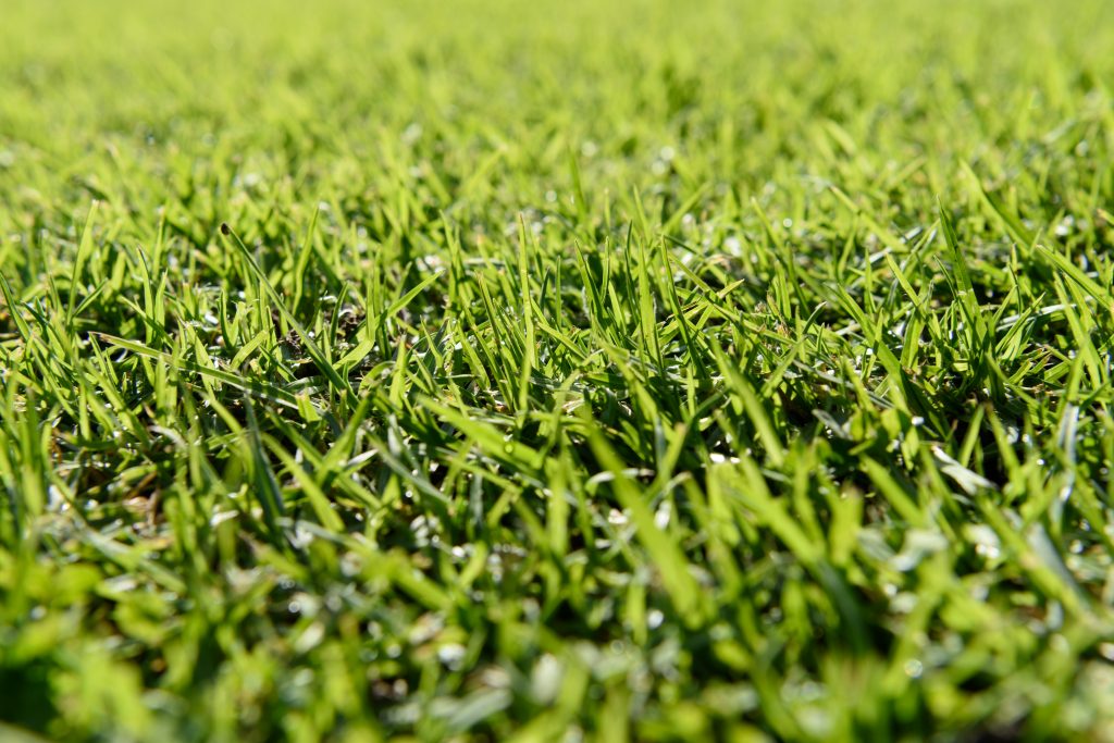 Artificial Turf Installation