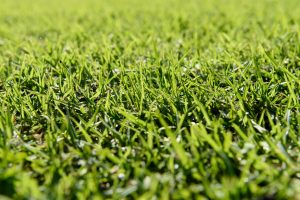 Artificial Turf Installation